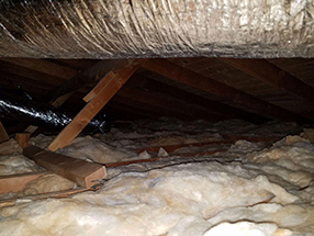 Attic Cleaning and Insulation in California